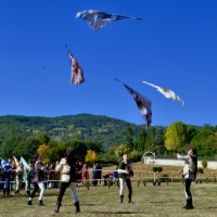 Sbandieratori di Bibbiena all'opera