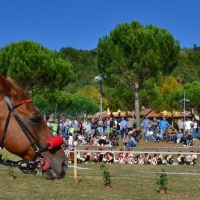 Giostratore rione "La Crocina"