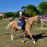 Giostratore rione "La Fonte"