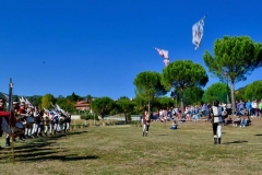 Giochi di bandiere 3