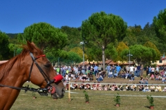 Giostratore rione "La Crocina"