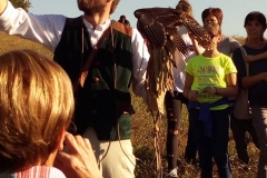 Il Falconiere Sir Edoardo