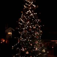 Albero di Natale