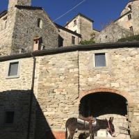 Pinocchio a spasso per il borgo di Lierna 3