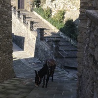 Pinocchio a spasso per il borgo di Lierna 2